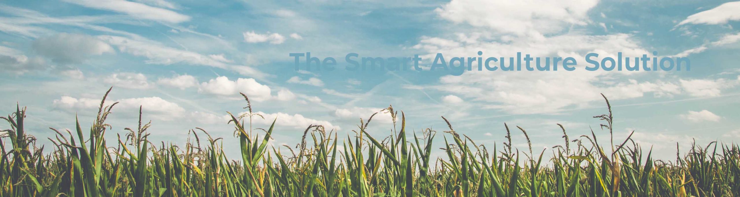 The NGA Smart Agriculture Solution