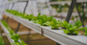 Find out how NGA developed a smart agriculture solution